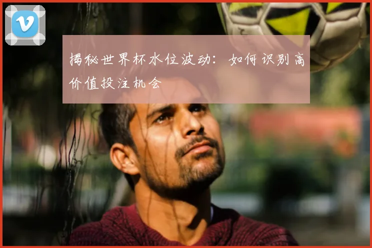 揭秘世界杯水位波动:如何识别高价值投注机会