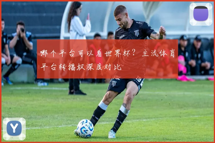 哪个平台可以看世界杯？主流体育平台转播权深度对比