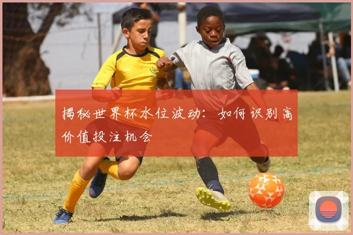 揭秘世界杯水位波动:如何识别高价值投注机会