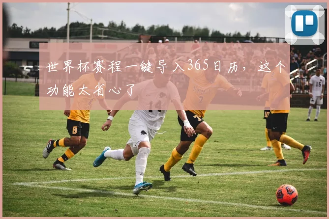 世界杯赛程一键导入365日历,这个功能太省心了