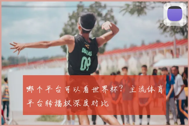 哪个平台可以看世界杯？主流体育平台转播权深度对比