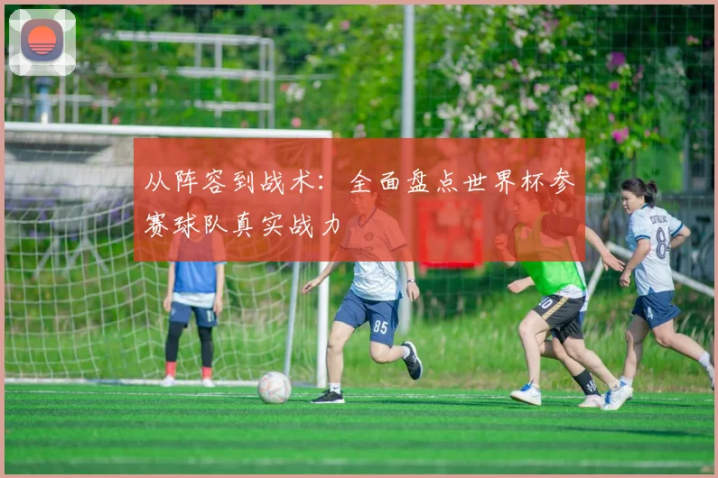 从阵容到战术：全面盘点世界杯参赛球队真实战力