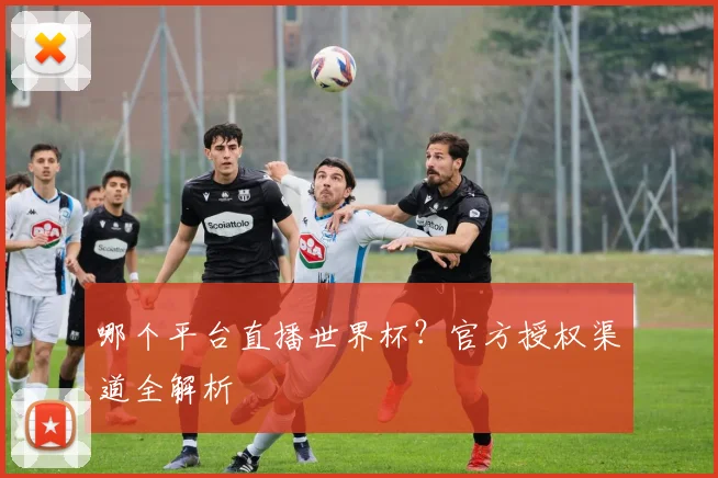 哪个平台直播世界杯?官方授权渠道全解析