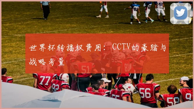 世界杯转播权费用：CCTV的豪赌与战略考量