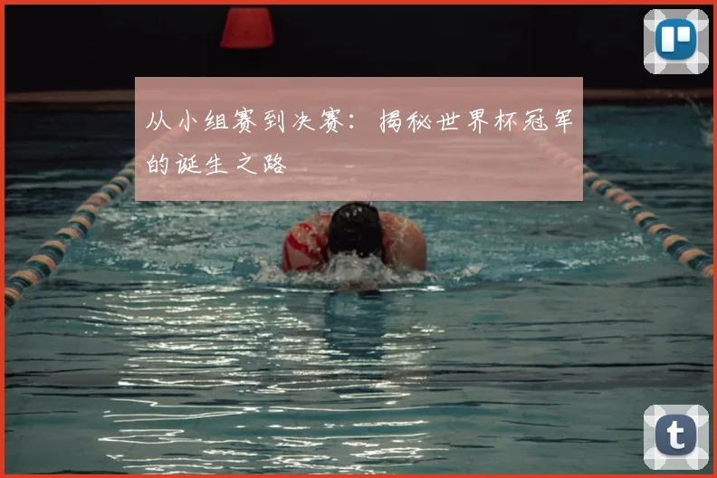 从小组赛到决赛：揭秘世界杯冠军的诞生之路
