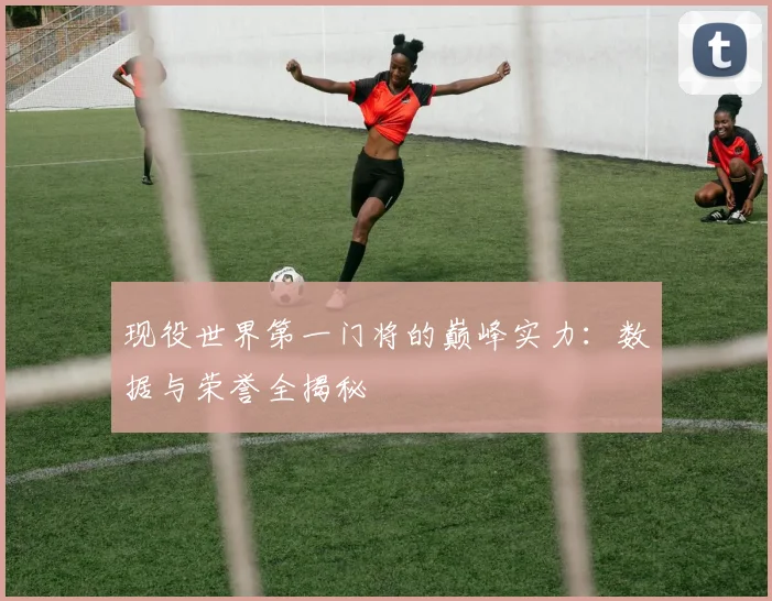 现役世界第一门将的巅峰实力:数据与荣誉全揭秘